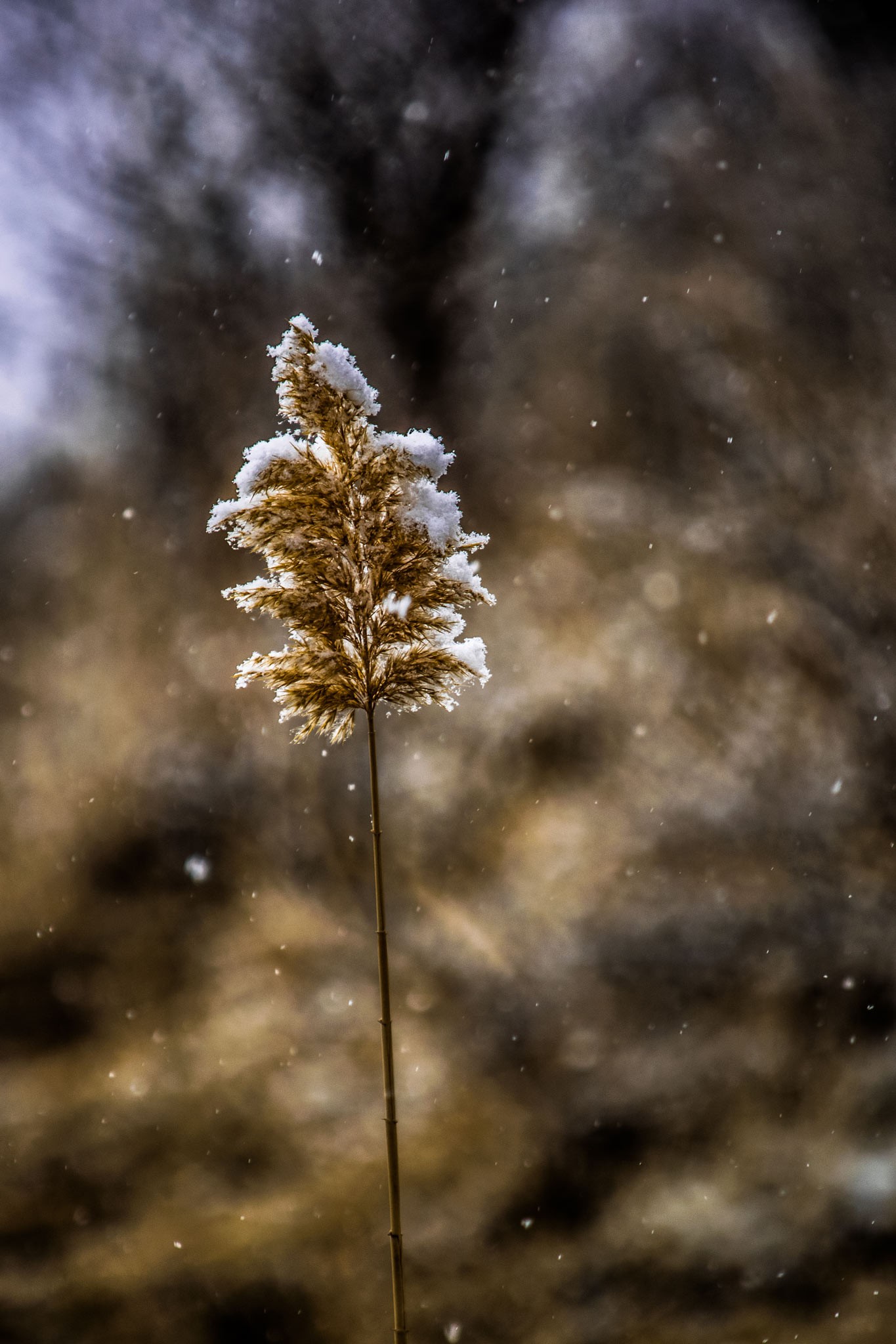 Photo taken in Saveh, Iran