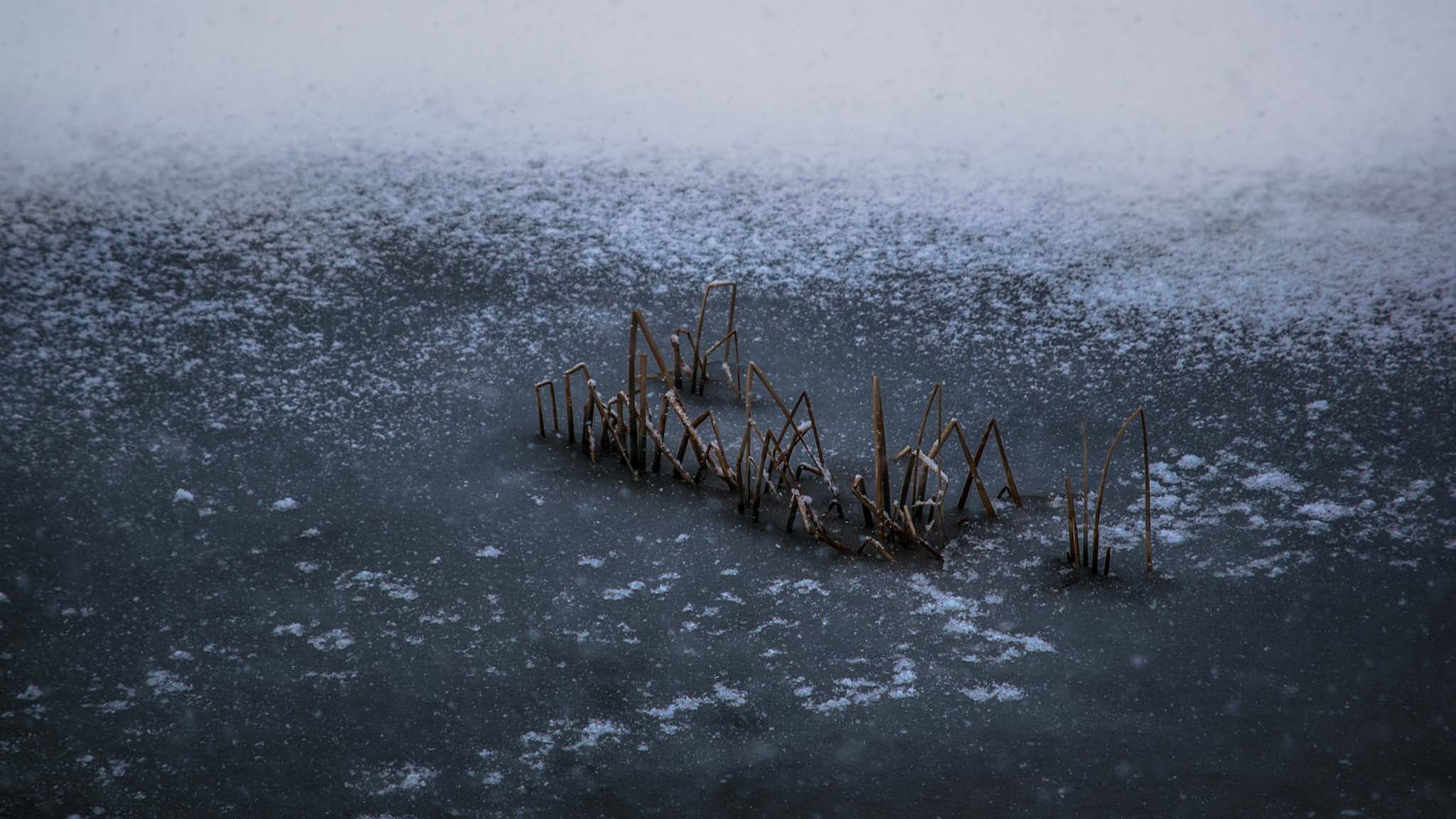 Photo taken in Saveh, Iran