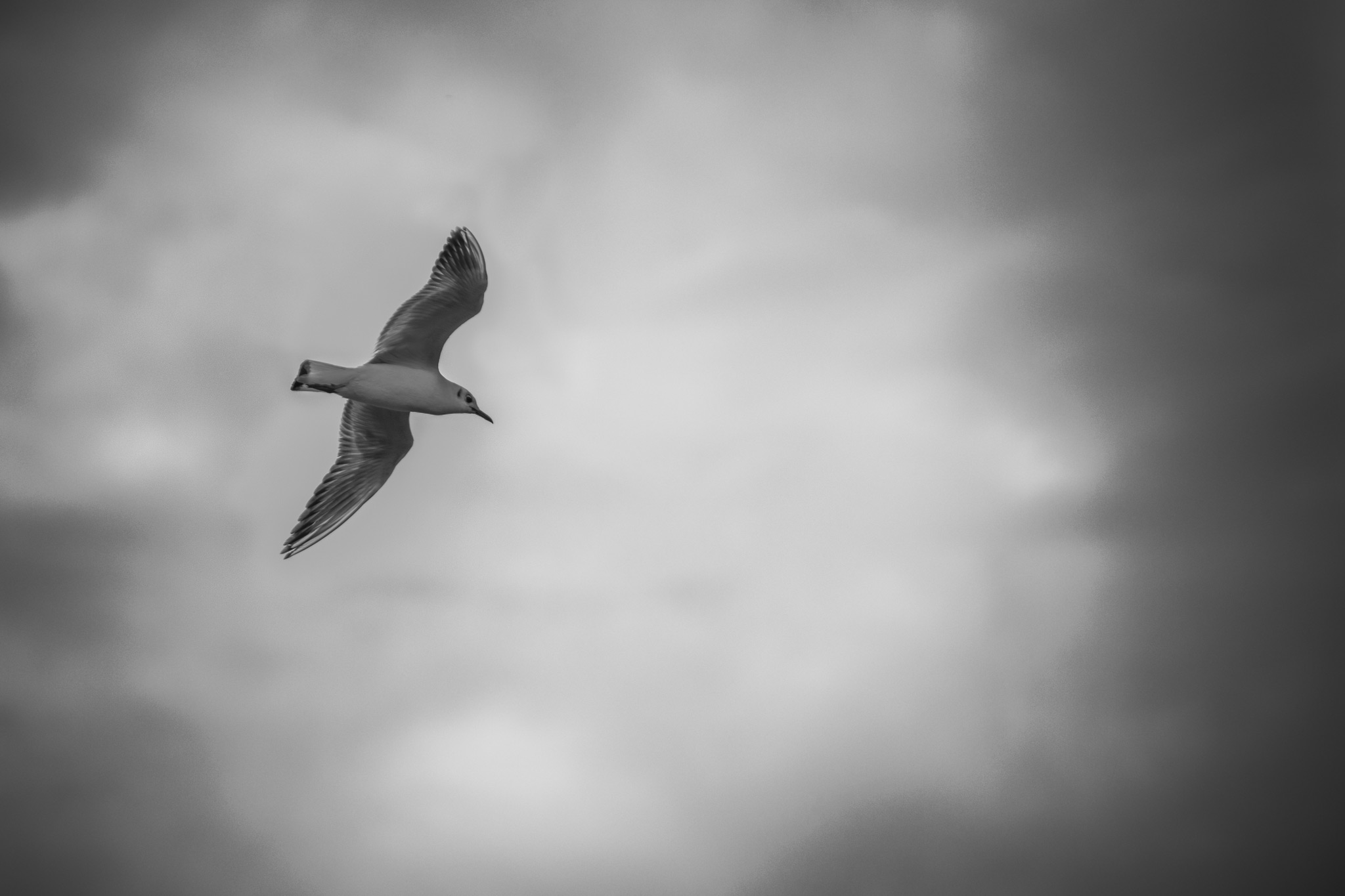 Photo taken in Golestan, Iran