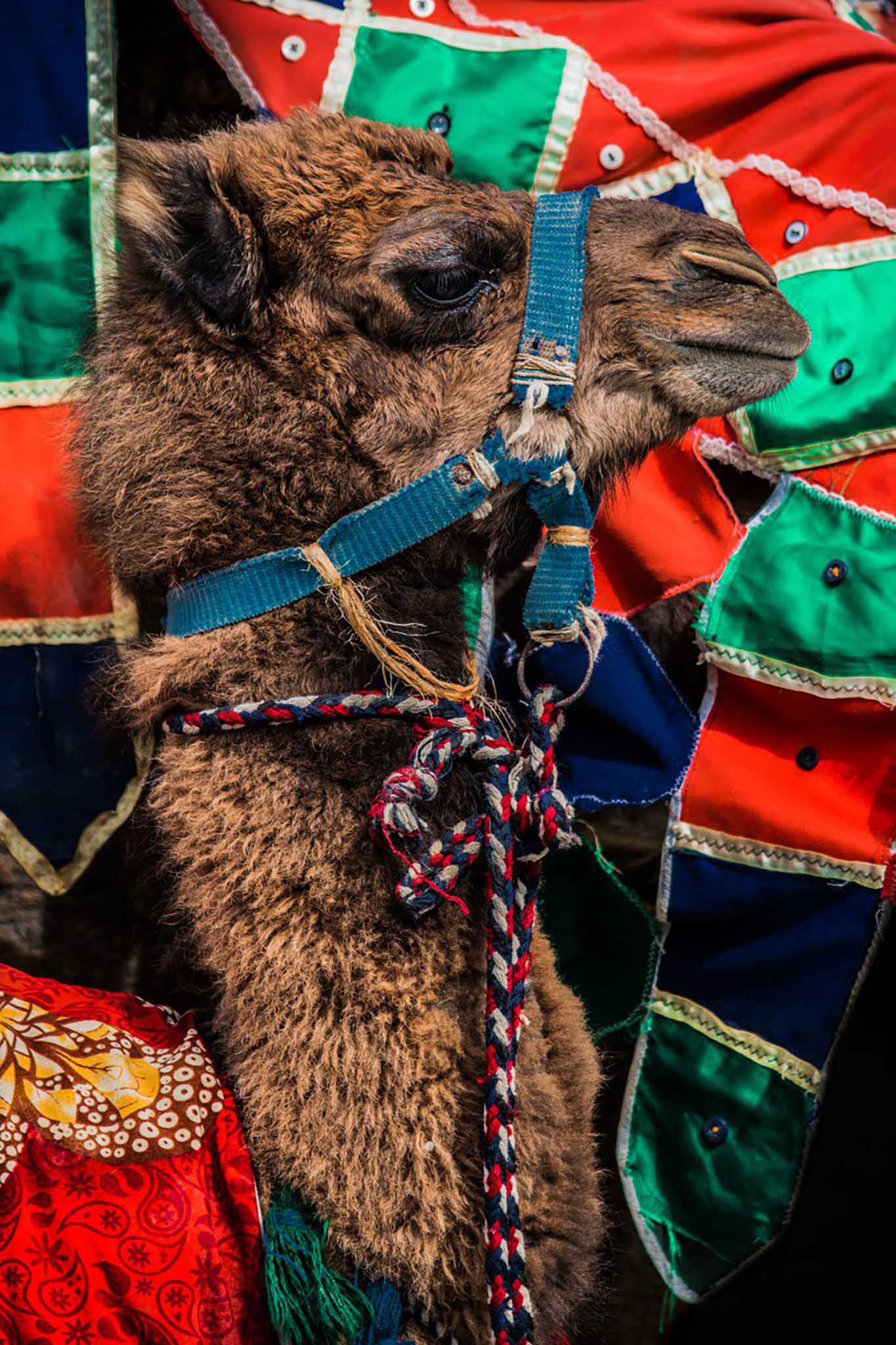 Photo taken in Golestan, Iran