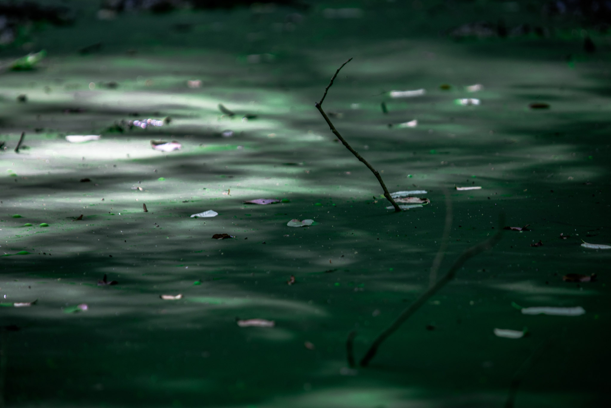 Photo taken in Noshahr, Mazandaran, Iran