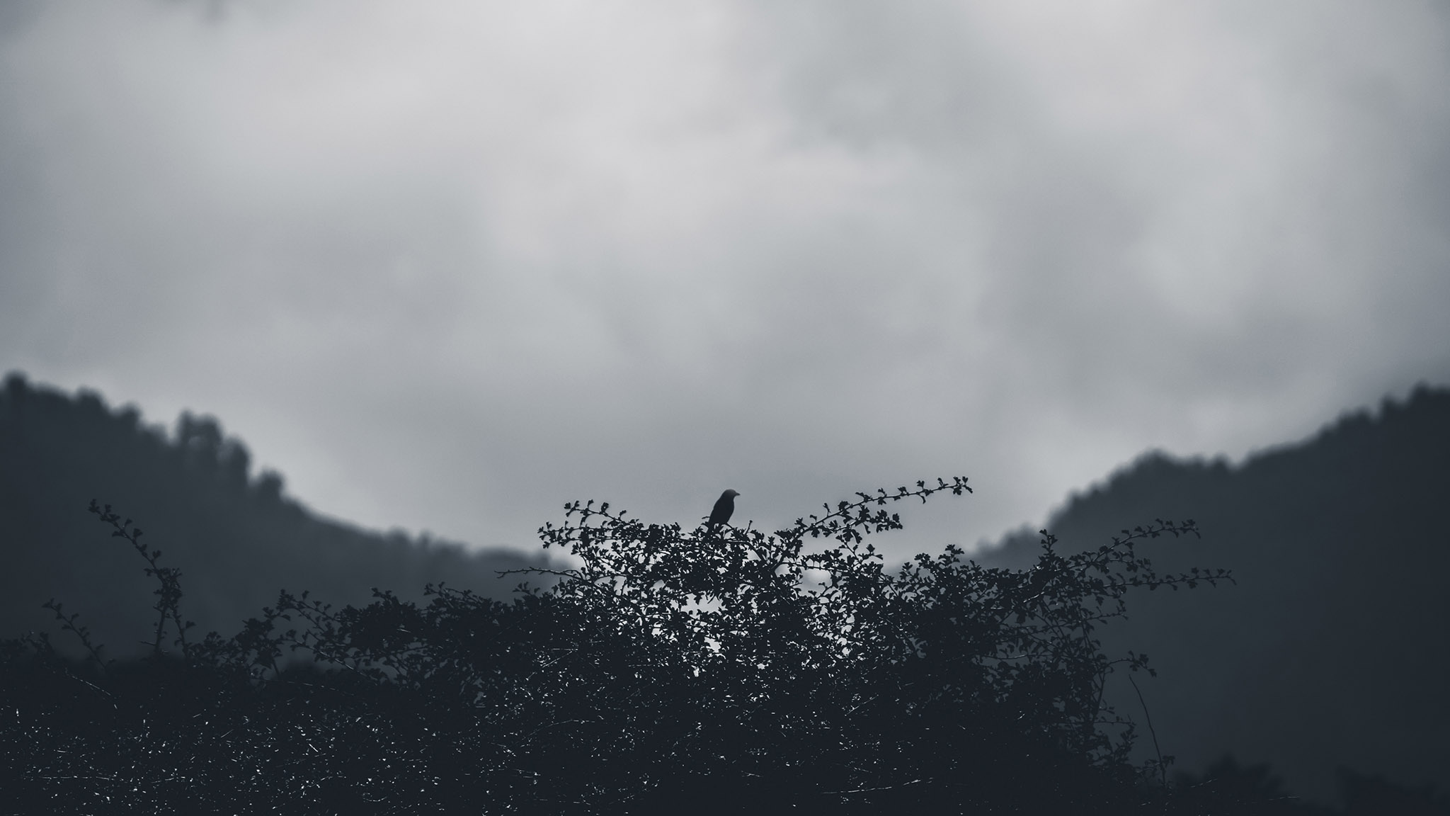 Photo taken in Subatan, Gilan, Iran