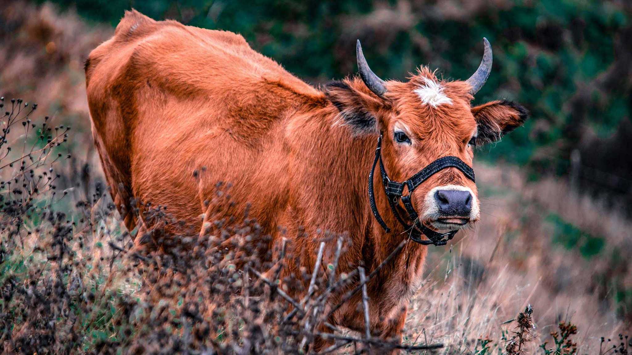 Photo taken in Talesh, Gilan, Iran
