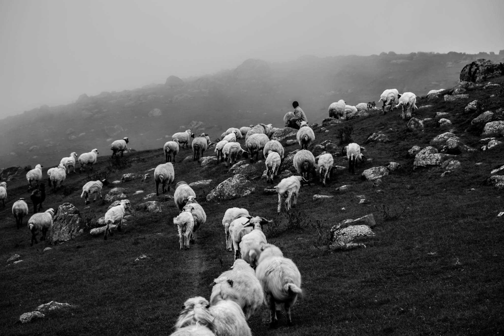 Photo taken in Talesh, Gilan, Iran