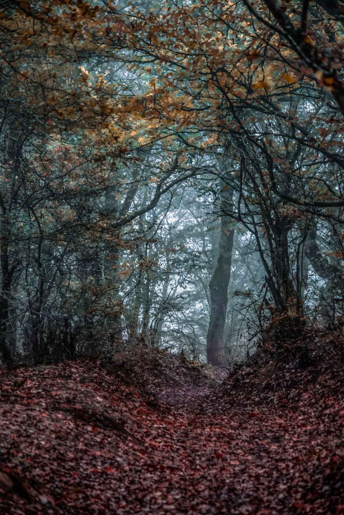 Photo taken in Band-e-pey, Mazandaran, Iran