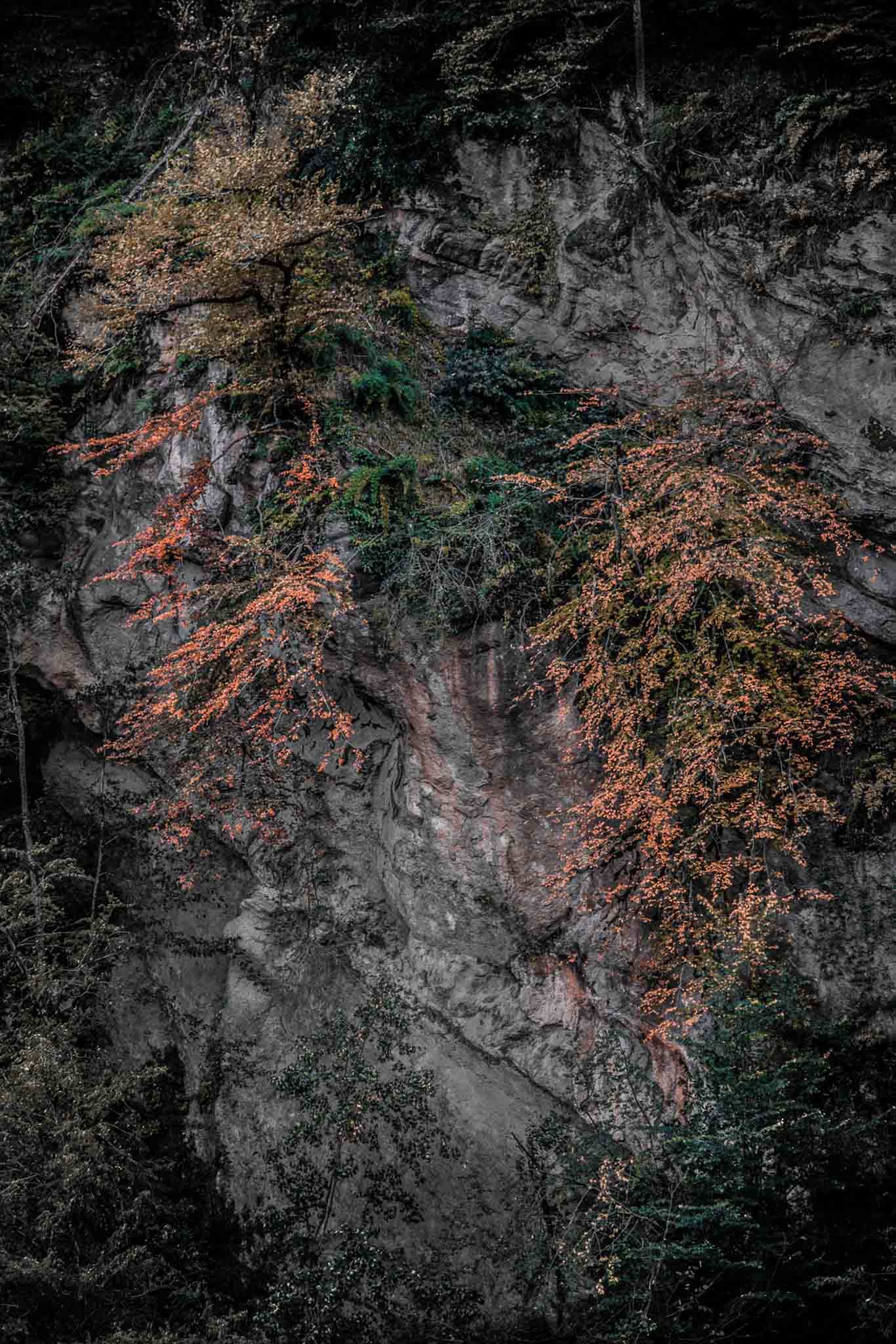 Photo taken in Band-e-pey, Mazandaran, Iran