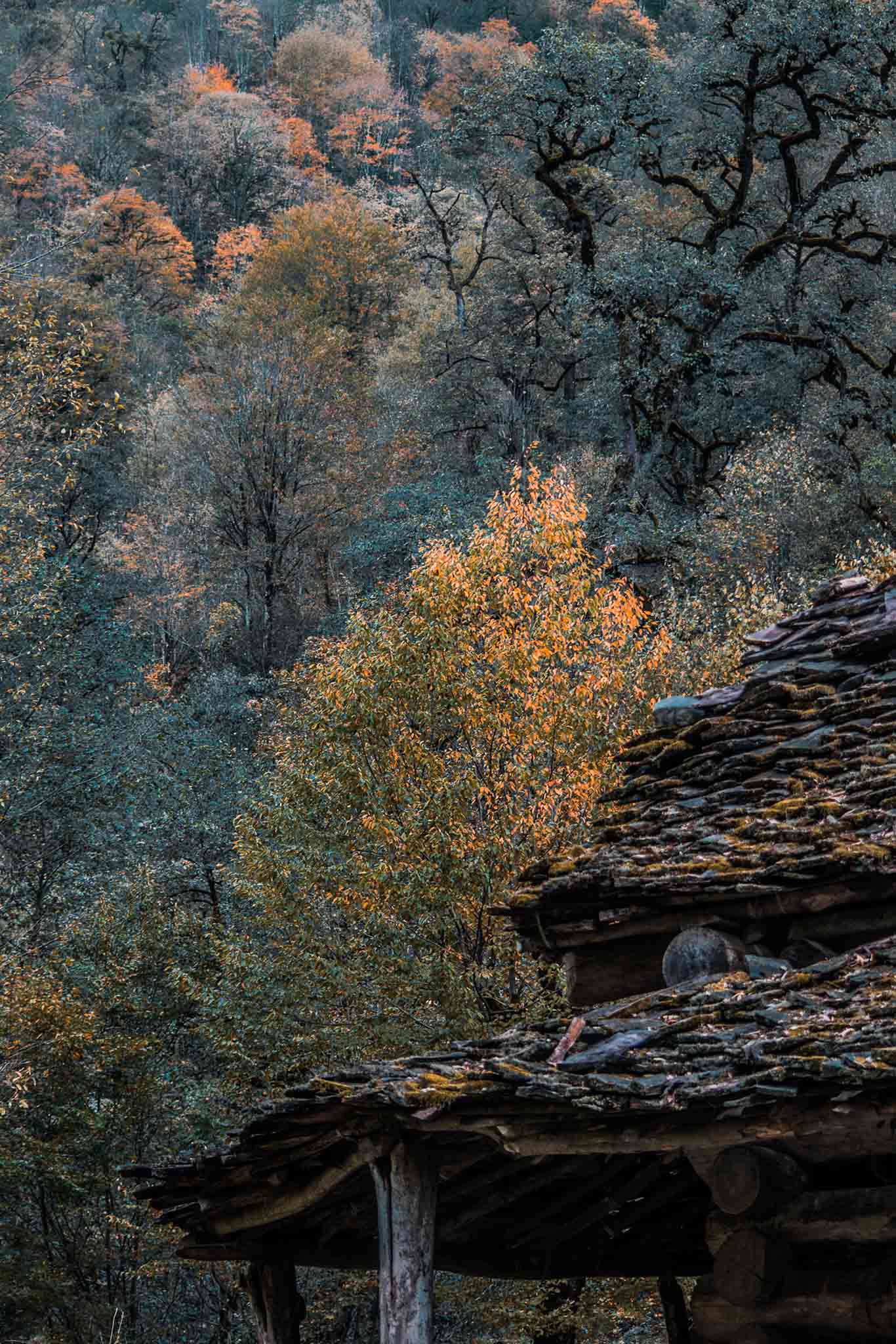 Photo taken in Band-e-pey, Mazandaran, Iran