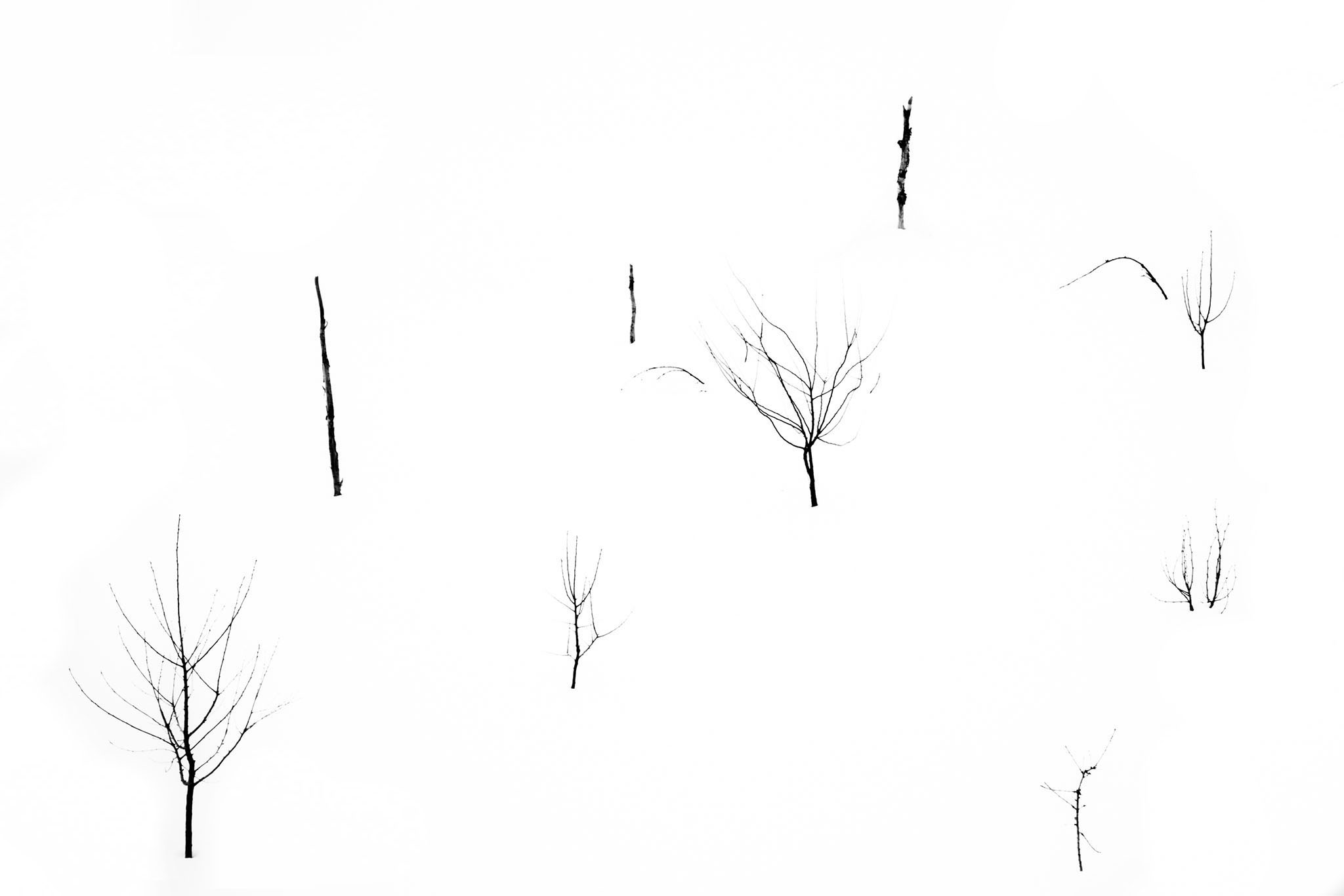 Photo taken in Alborz, Iran