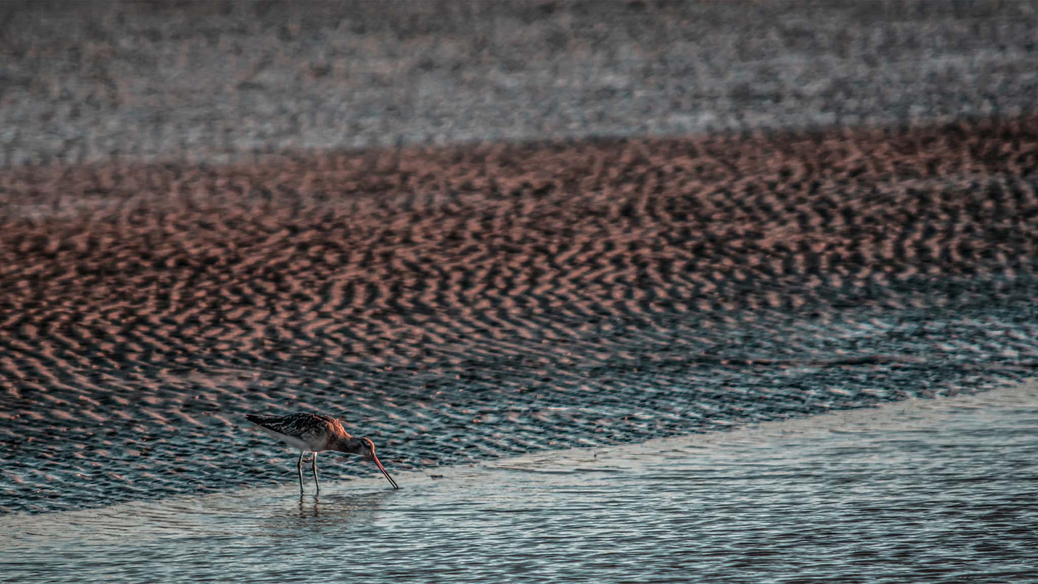 Photo taken in Sistan and Baluchestan, Iran