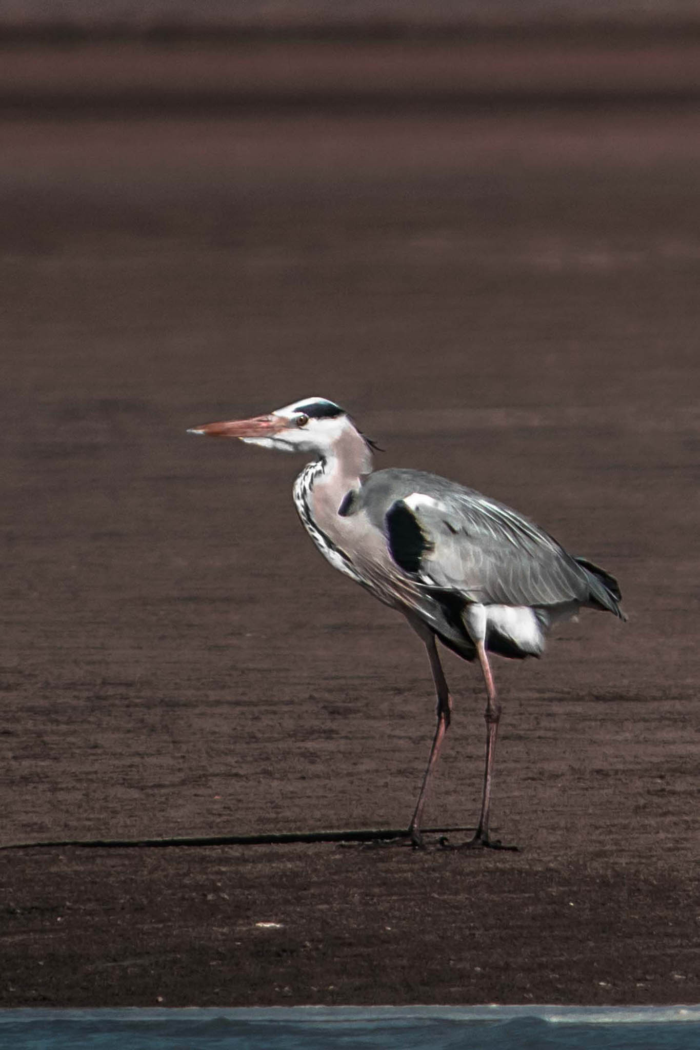 Photo taken in Sistan and Baluchestan, Iran