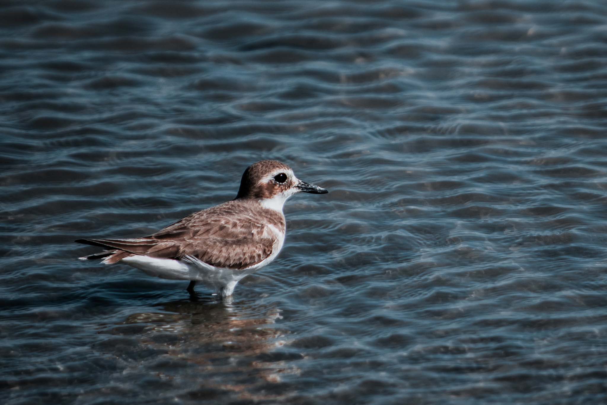 Photo taken in Sistan and Baluchestan, Iran