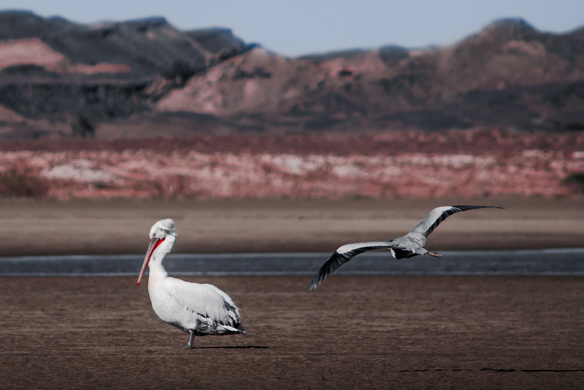 Photo taken in Sistan and Baluchestan, Iran