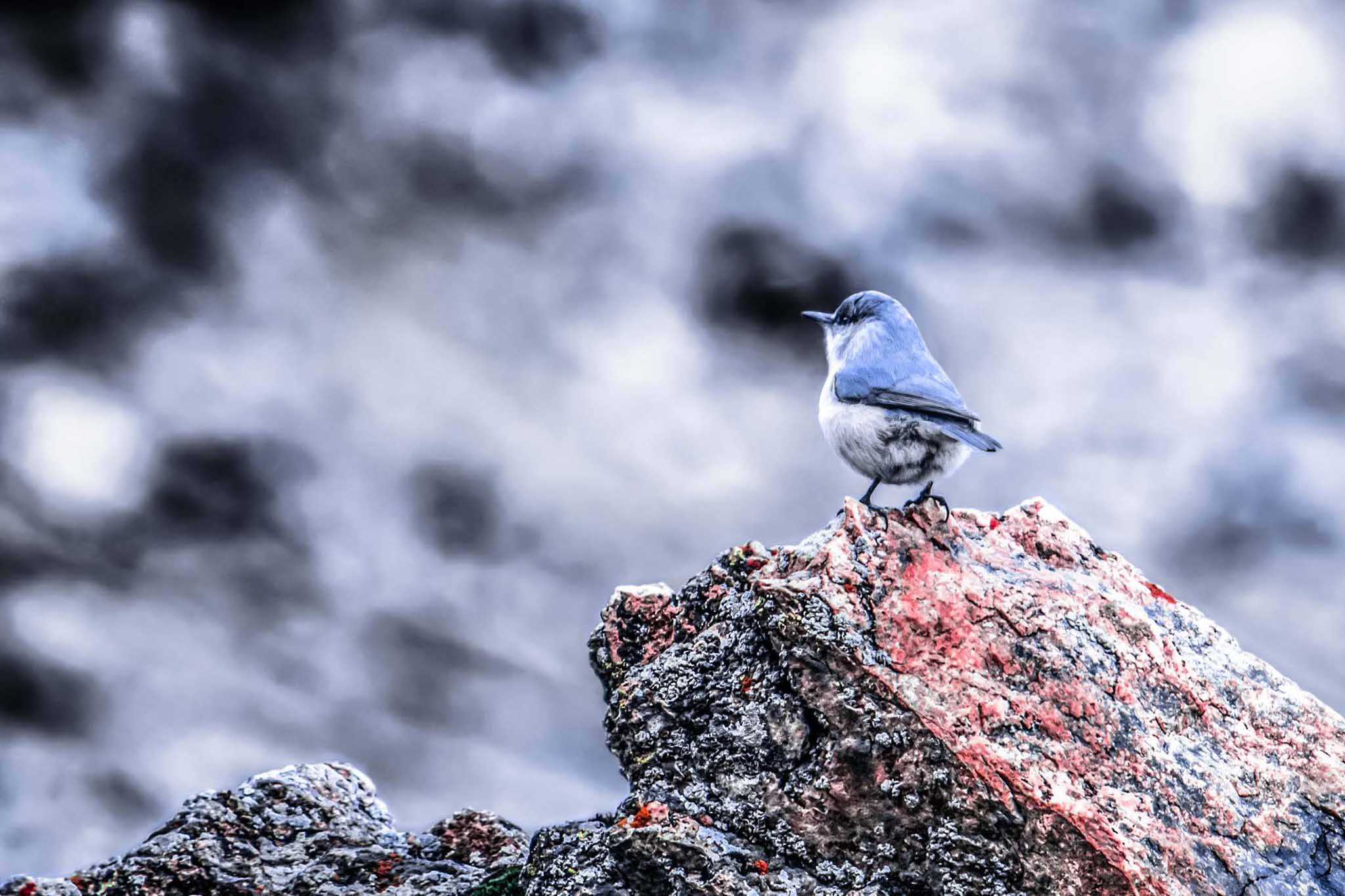 Photo taken in Darband, Tehran, Iran