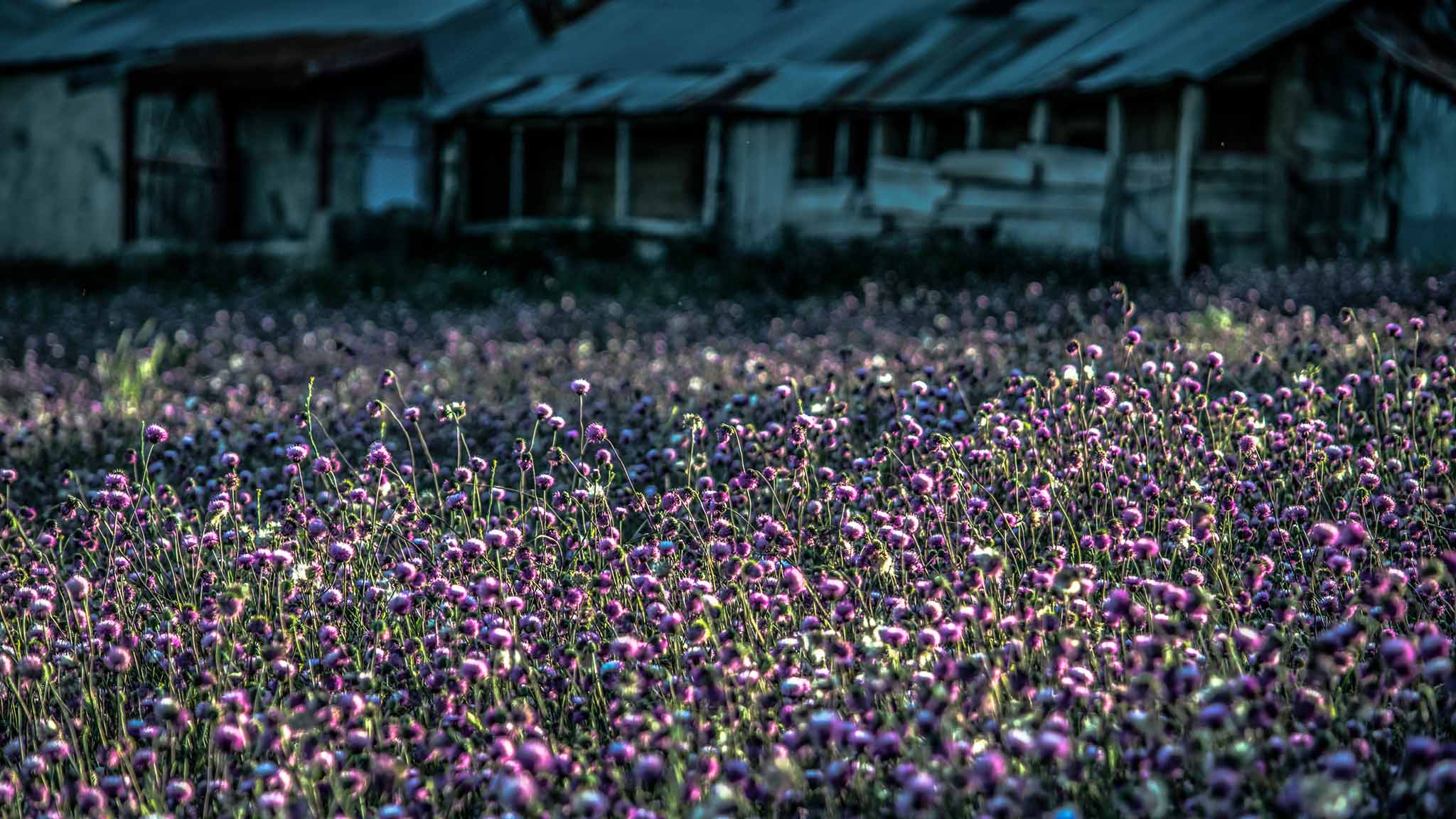 Photo taken in Talesh, Gilan, Iran