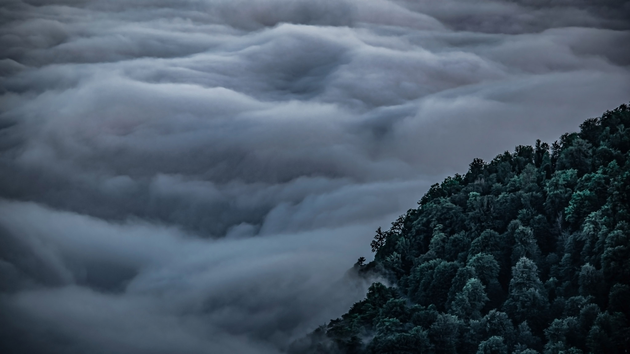 Photo taken in Talesh, Gilan, Iran