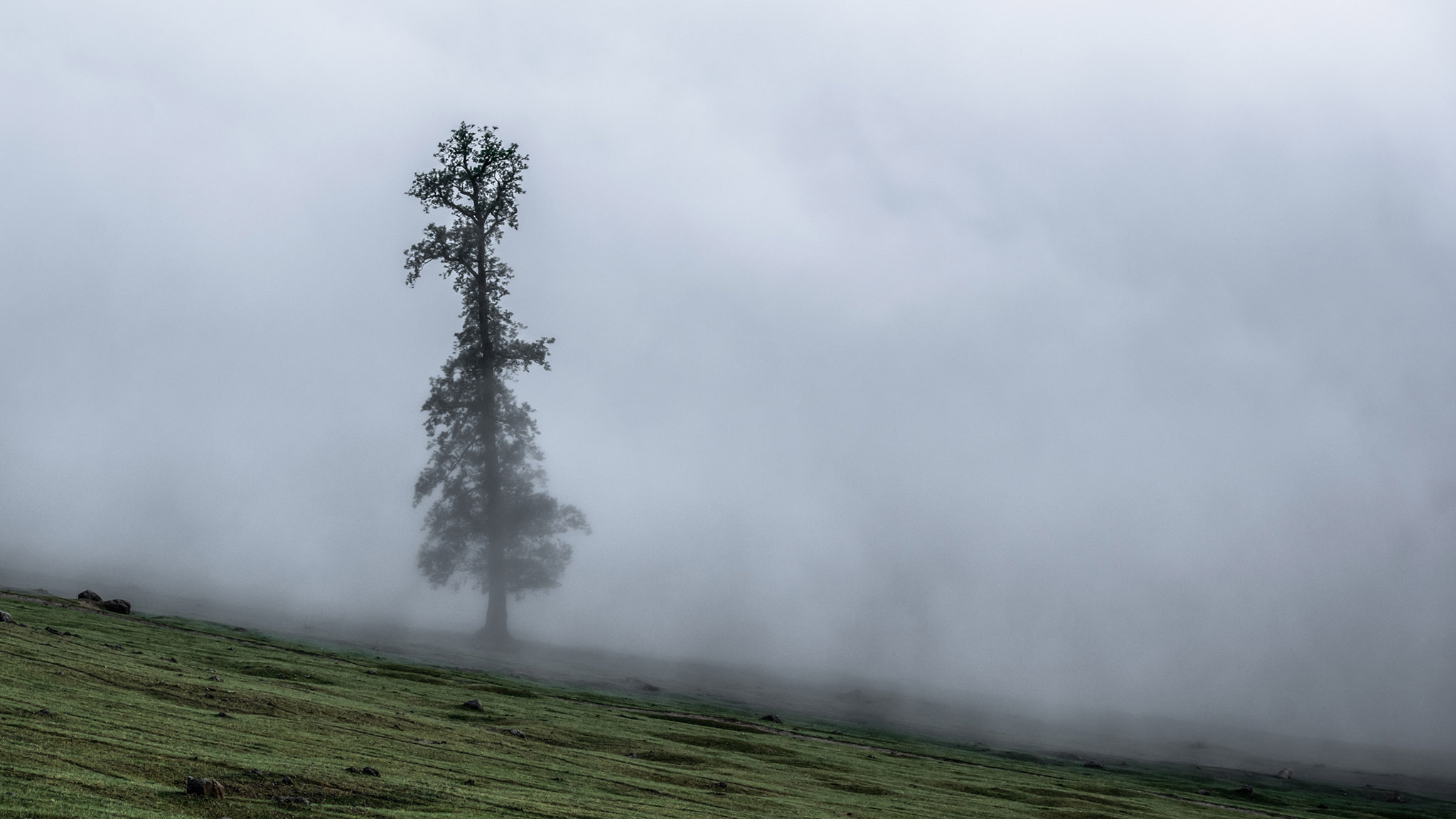 Photo taken in Talesh, Gilan, Iran
