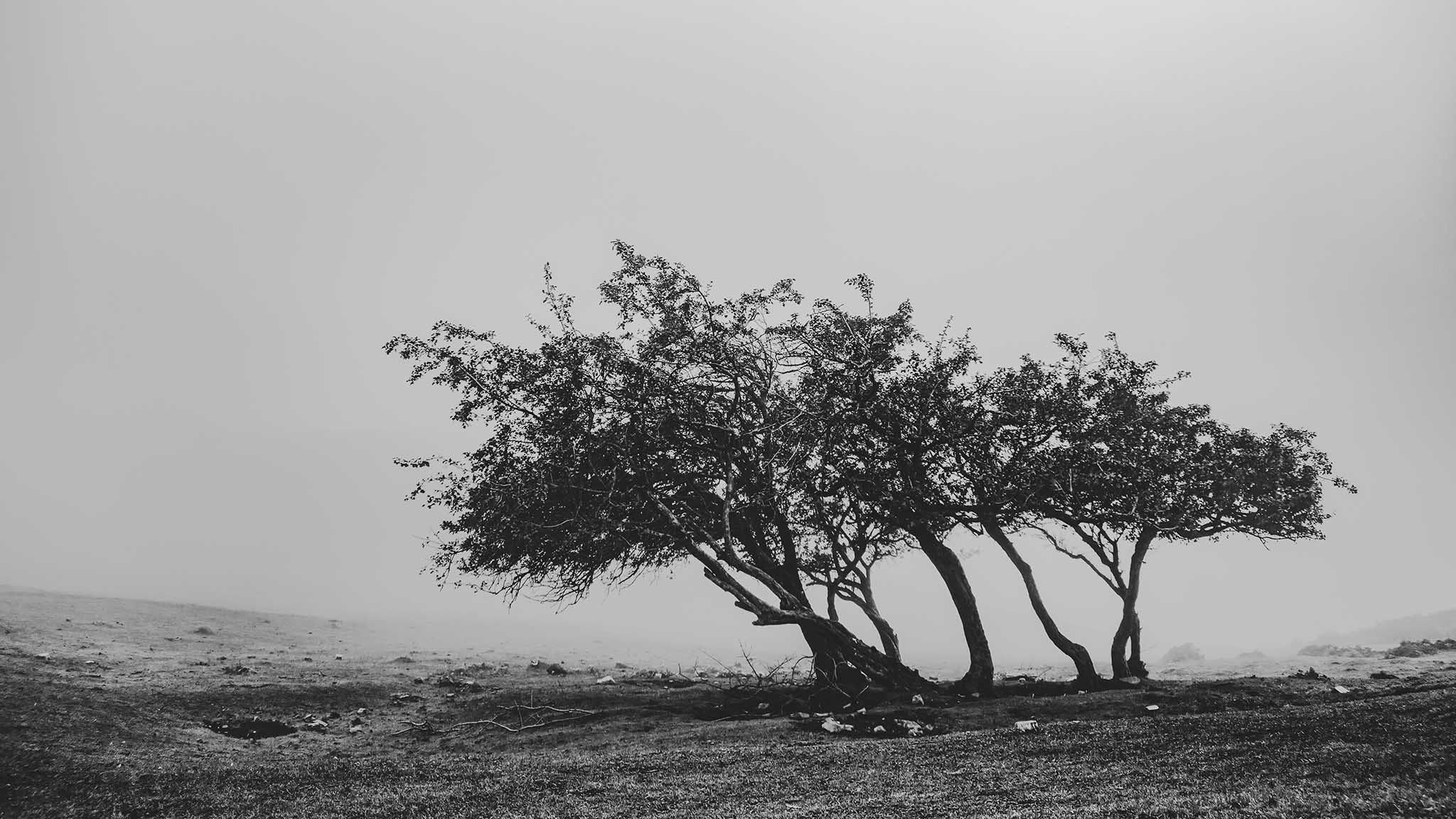 Photo taken in Masal, Gilan, Iran