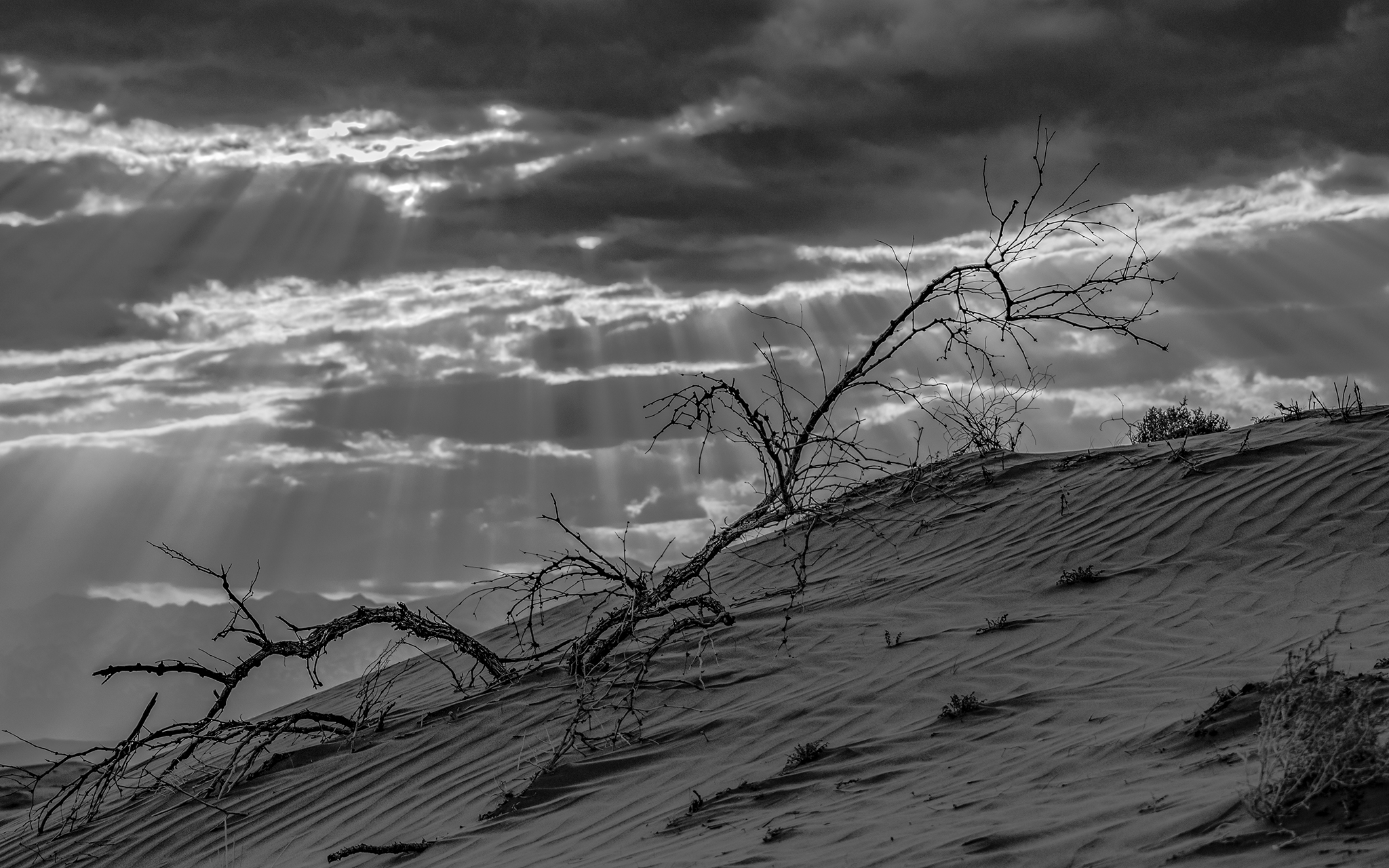 Photo taken in Abouzeidabad, Isfahan, Iran