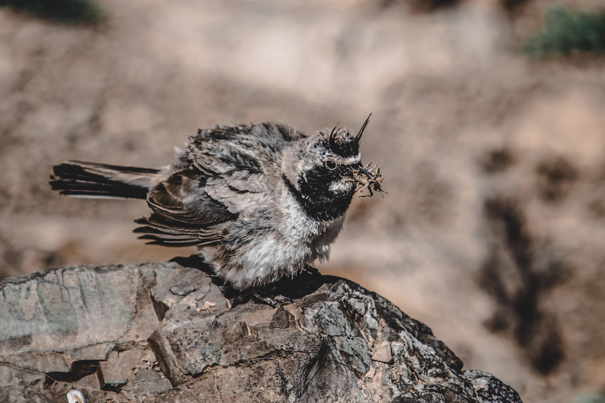 Photo taken in Rudbarak, Mazandaran, Iran