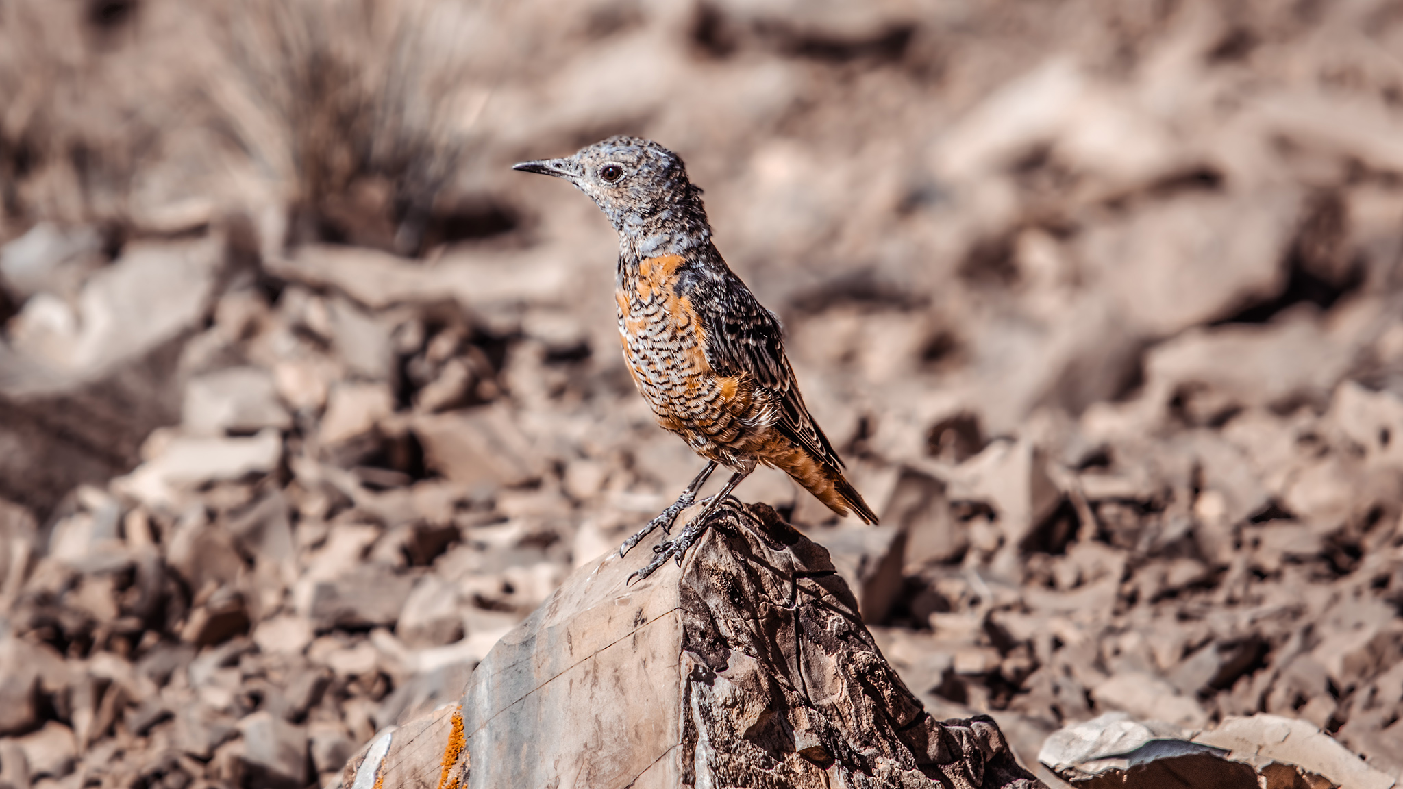 Photo taken in Tehran, Iran