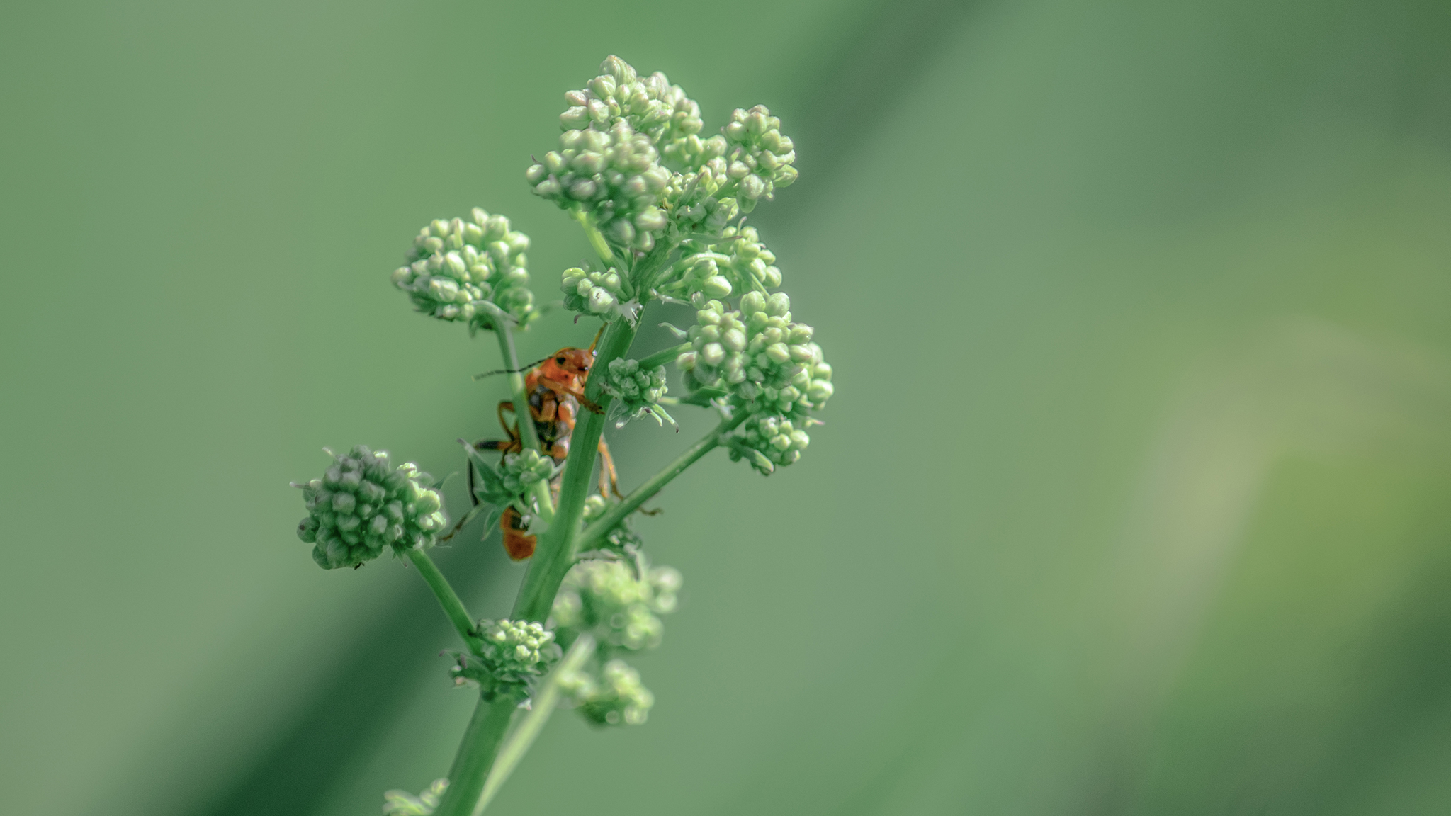 Photo taken in Saveh, Markazi, Iran