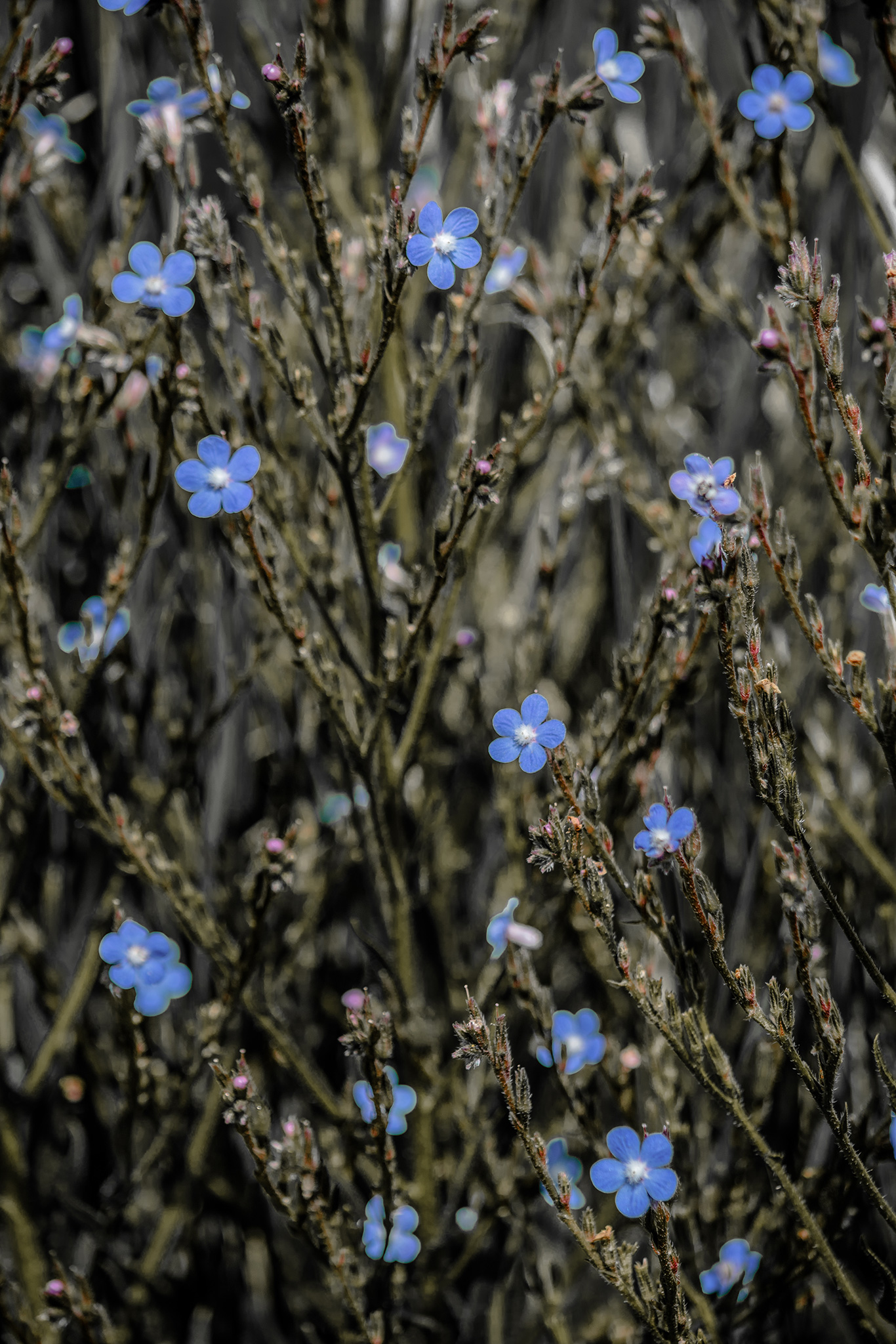 Photo taken in Saveh, Markazi, Iran
